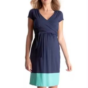 Seraphine Maternity & Nursing Dress